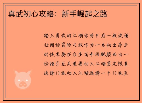 真武初心攻略：新手崛起之路